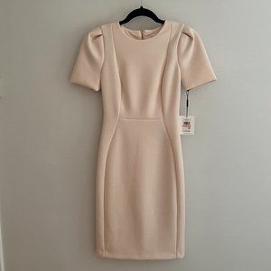 NWT Calvin Klein Scuba Sheath Dress, Blossom, size 2